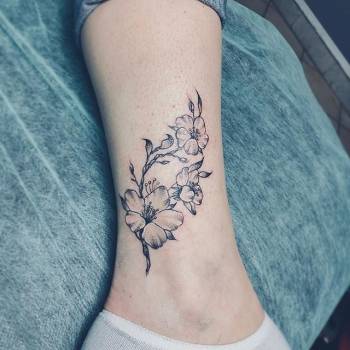 Фото с портфолио Анна Фурдуй 