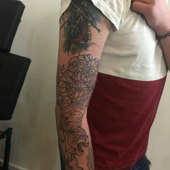 Фото с портфолио Etonadolgo 