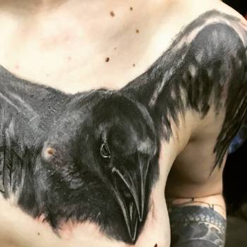 Фото с портфолио Etonadolgo 