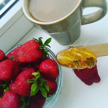 Фото с портфолио Елена Гайдукевич 