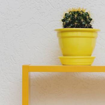 VOSK.bar, Харків Фото - 18