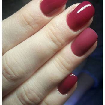 Нефертити, Харьков Фото - 32