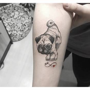 Фото с портфолио Диана Бондаренко 