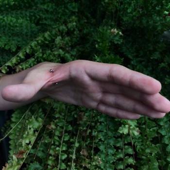 Фото с портфолио Zlatan 