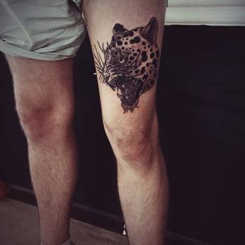 Фото с портфолио Серега Белый 