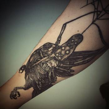 Фото с портфолио Серега Белый 