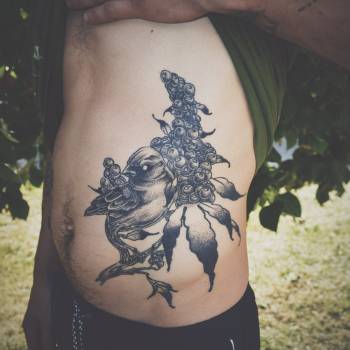 Фото с портфолио Серега Белый 