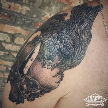 Фото с портфолио Серега Белый 