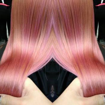 Фото с портфолио Багира