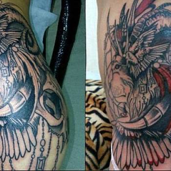 Фото с портфолио Комора