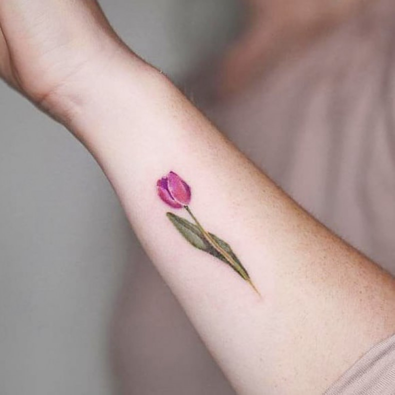 Для дівчат на передпліччі кольорові, фото - Тату майстер Delicate Tattoos