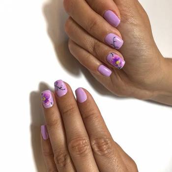 Pilka, Запорожье Фото - 21