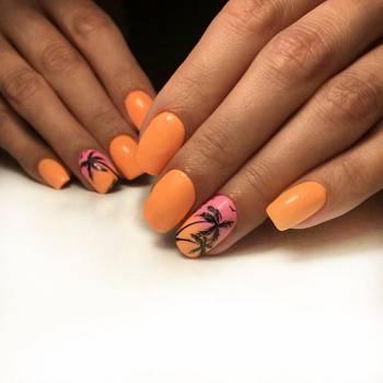 Pilka, Запорожье Фото - 22