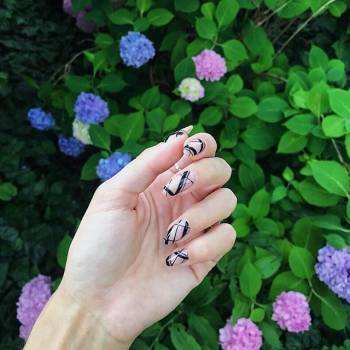 Pilka, Запорожье Фото - 1