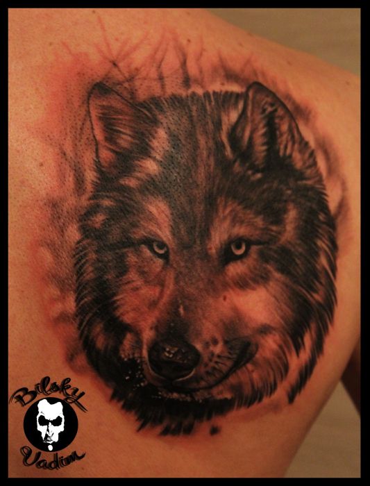 Для хлопців вовк реалізм, фото - Тату салон Crazyink