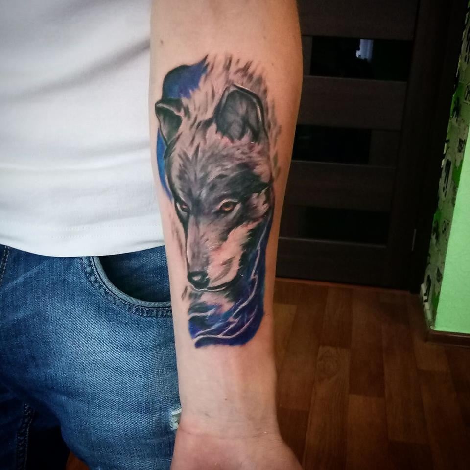 Для хлопців вовк на передпліччі, фото - Тату майстер Ольга Мартова
