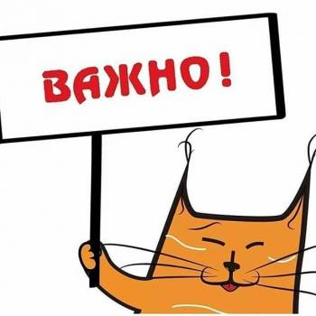 Vulpes, Харьков Фото - 12