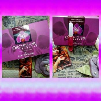 Vulpes, Харьков Фото - 46