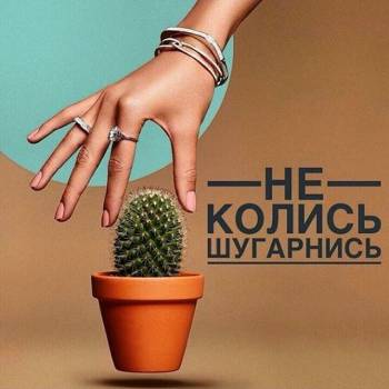 Vulpes, Харьков Фото - 49