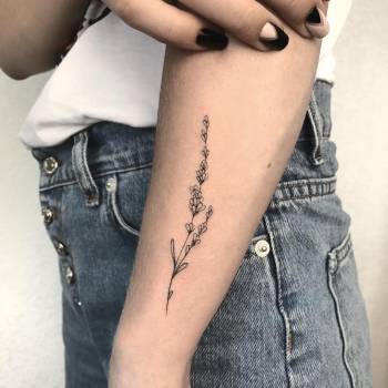 Тату лаванда, фото - Тату майстер Виктория Клочко