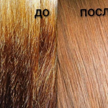 Фото с портфолио Полтавский