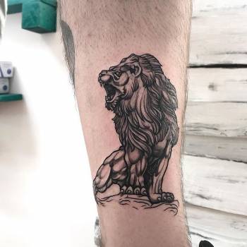 лев, гравюра