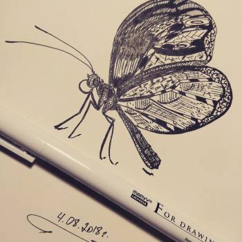 Елена Григоренко , Дніпро Фото - 5