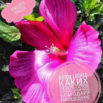 Ламинирование, ботокс, восстановление ресниц
                    Мастер перманентного макияжа Елена Днепр