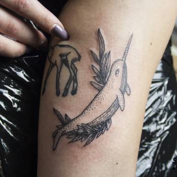 Антон Карач , Винница Фото - 11