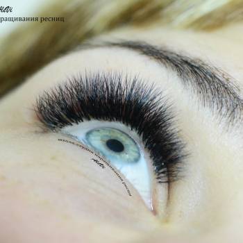 Фото с портфолио AleVi