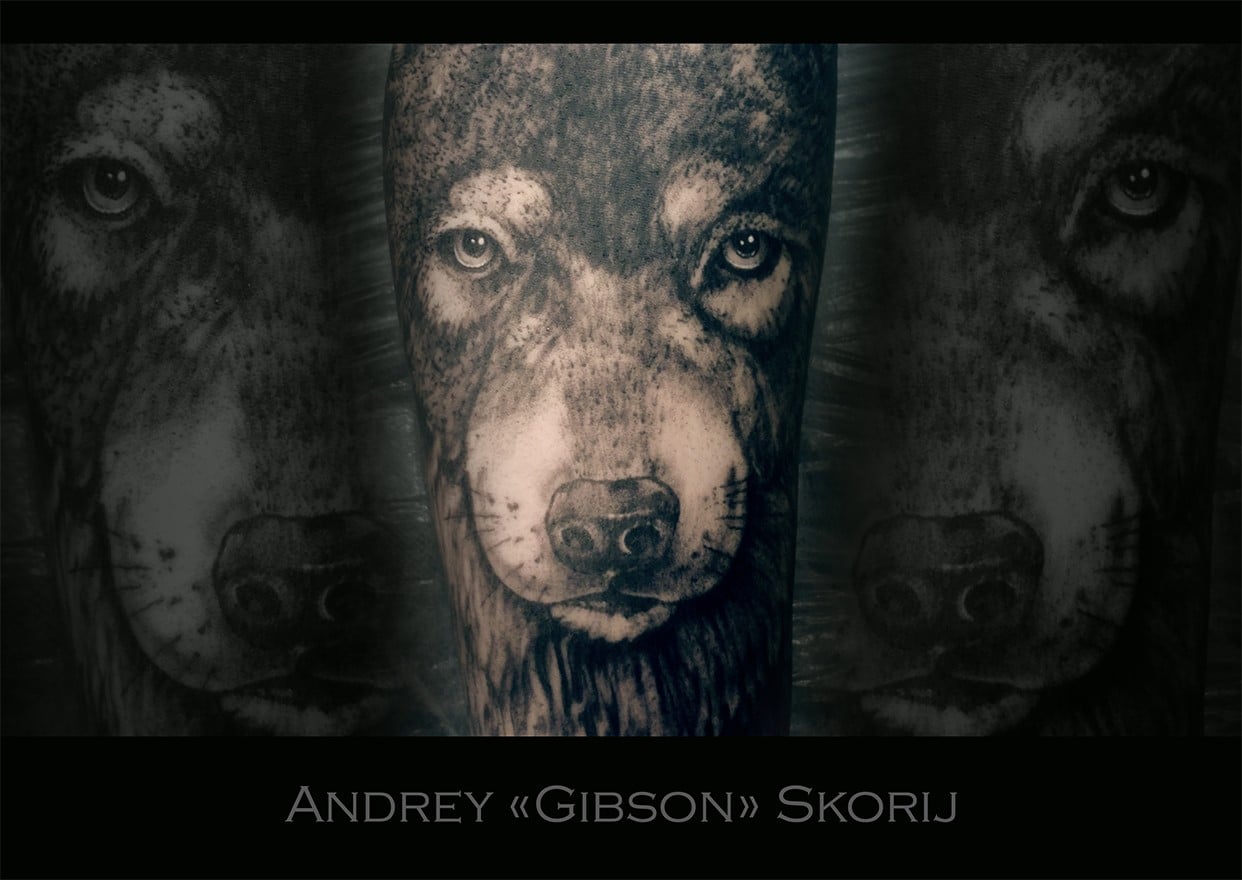 Для хлопців вовк на передпліччі, фото - Тату майстер Андрей Скорый