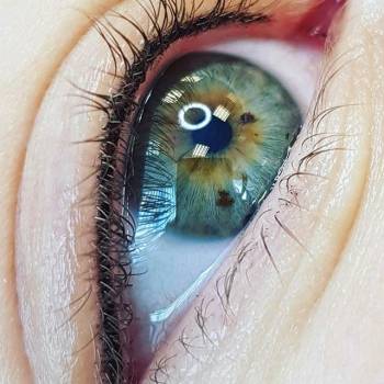 Фото с портфолио PUDRAroom