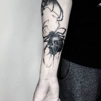 Фото с портфолио Ванда 