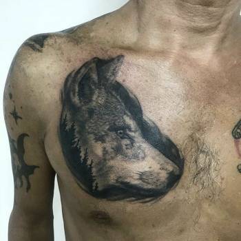 Фото с портфолио Ванда 