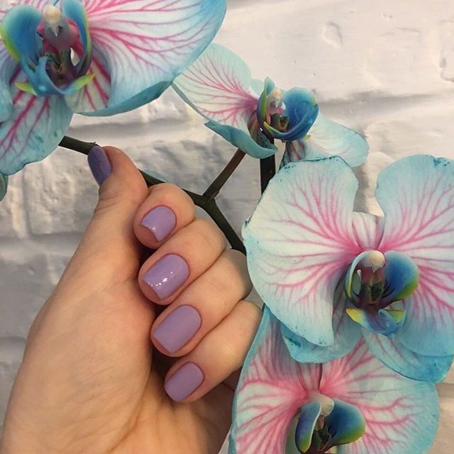 Манікюр на короткі нігті ніжний фіолетовий, фото - Студія краси Персона