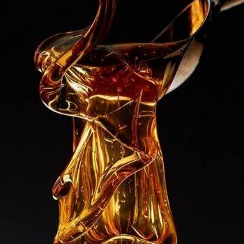 Фото с портфолио Яна Овсиенко 