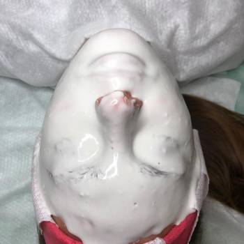 Фото с портфолио Блудилина Анна 