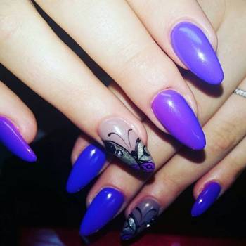 Фото с портфолио La Rose