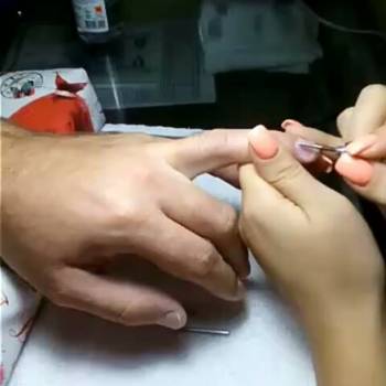 Фото с портфолио La Rose