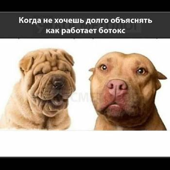 Perfect, Харків Фото - 26