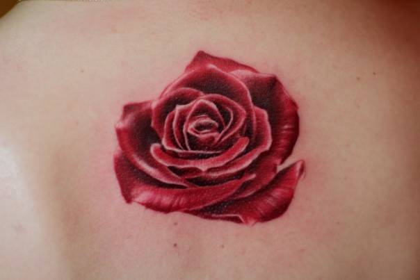 Троянда кольорові реалізм, фото - Тату майстер TimaTattoo