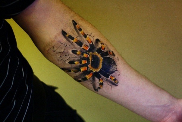 Мужские на предплечье цветные, фото - Тату мастер TimaTattoo