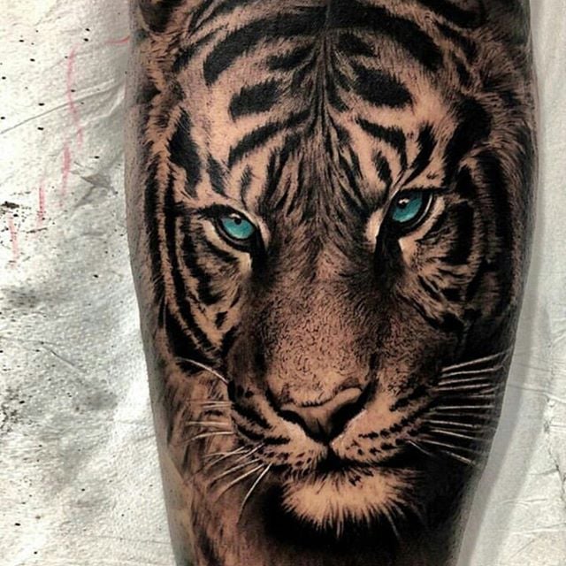 Тигр, фото - Тату майстер TimaTattoo