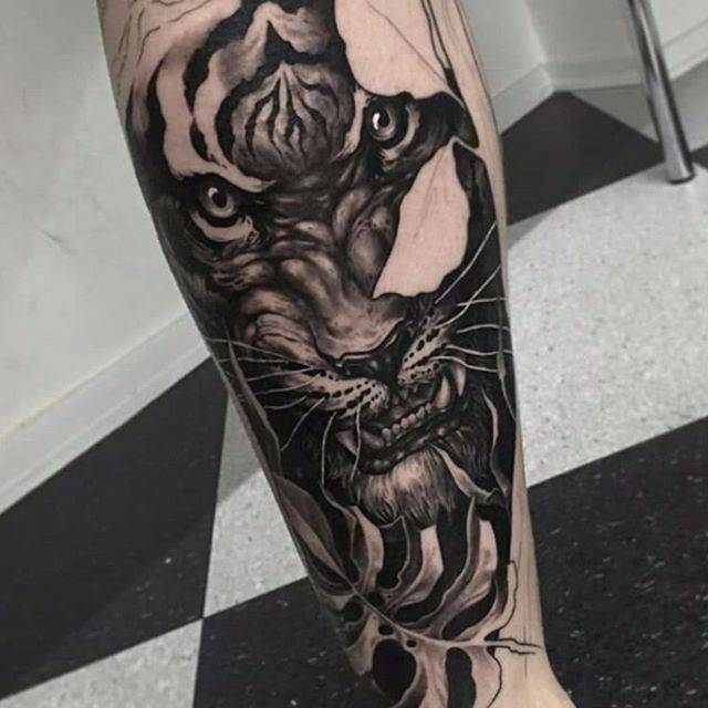Тигр, фото - Тату мастер TimaTattoo