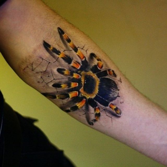 Мужские на руке цветные, фото - Тату мастер TimaTattoo