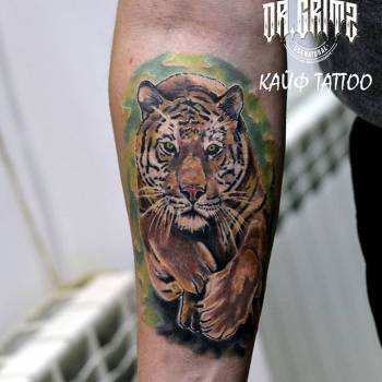 Сергей Педченко , Кривой Рог Фото - 67