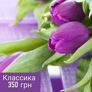 Studio BSL, Киев Фото - 28