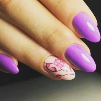 Studio BSL, Киев Фото - 43