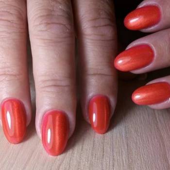 Фото с портфолио Павельчик 