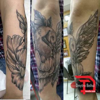 Дмитрий Бейгул , Полтава Фото - 5